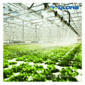 Cultivo de tubo hidropônico com solo de solo de PVC agrícola